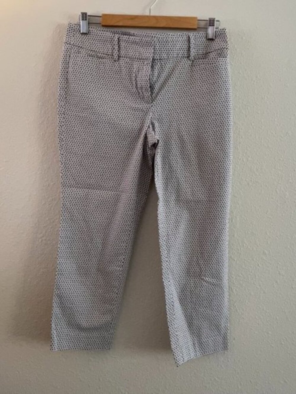Loft 6P Ankle Pants
